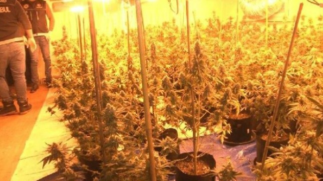 İstanbul’da çatı katında zehir yuvası